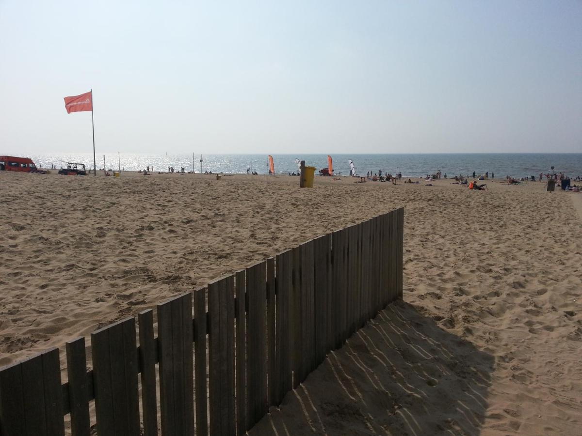 Appartement "Zicht Op De Vuurtoren" Noordwijk Eksteriør billede